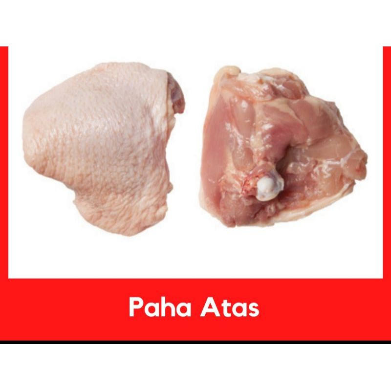 

PAHA AYAM BAGIAN PAHA ATAS CHICKEN THIGH