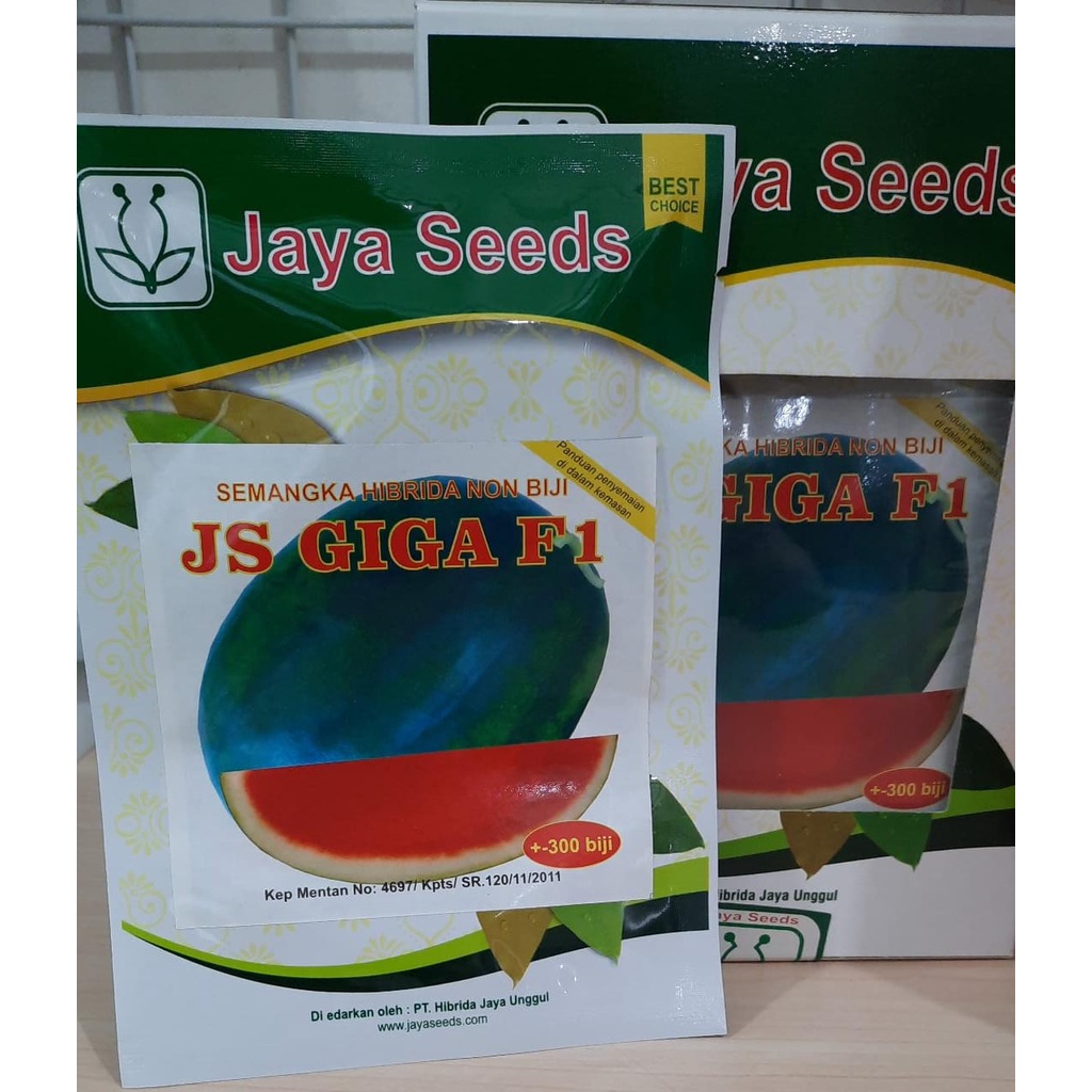 Benih Semangka Hibrida Non Biji JS GIGA F1 @ 300biji