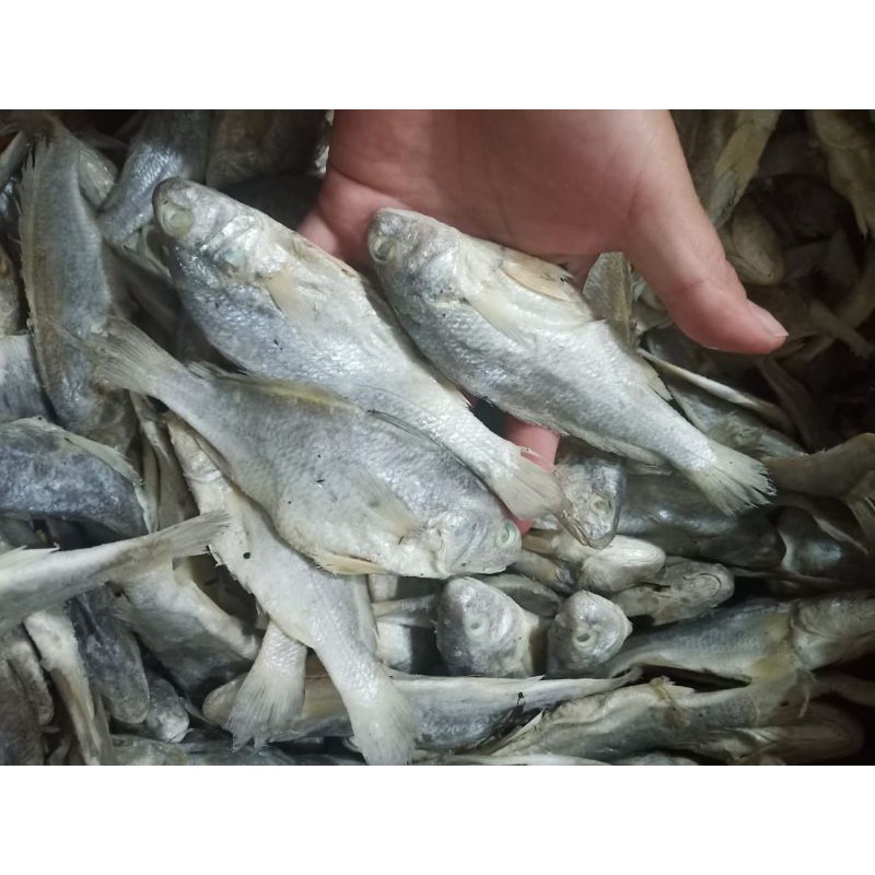 

Ikan Asin dan Ikan Teri Medan