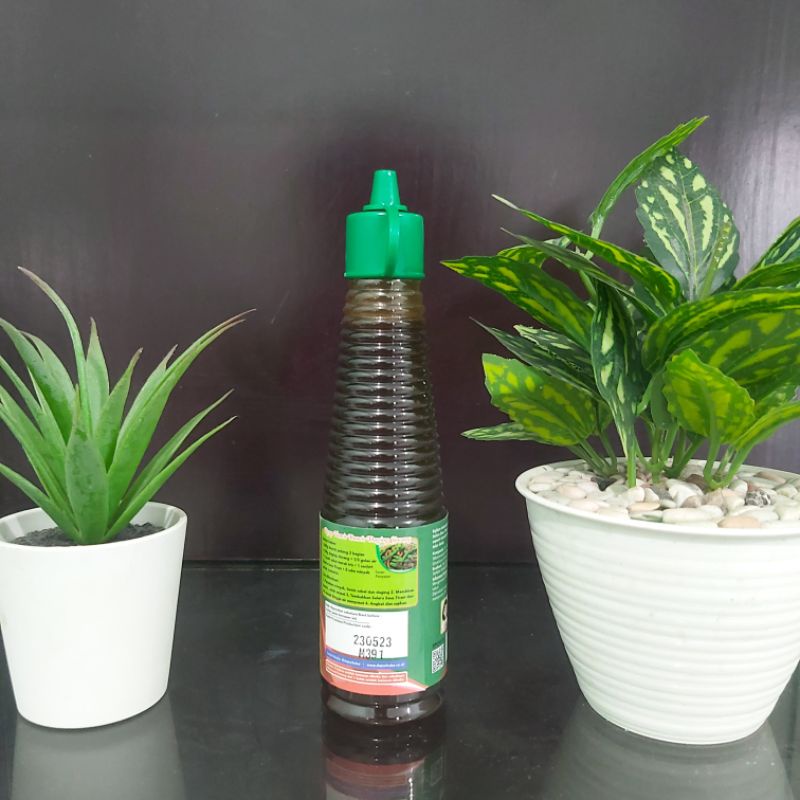

Selera Saus tiram 170gr