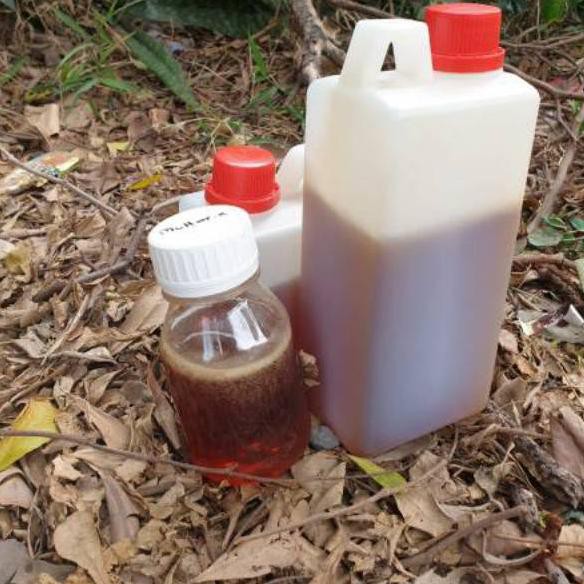 

Super Promo JA9BK Madu Multiflora Curah. Isi bersih 1kg 76 Produk