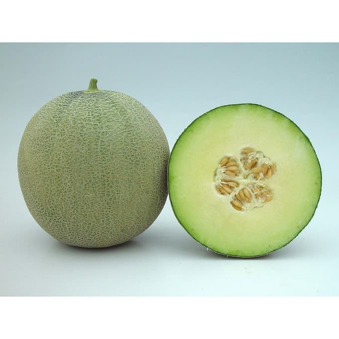 Benih Melon Putih Melani F1