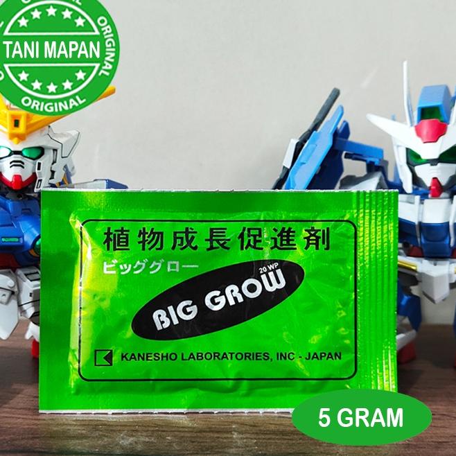 

FLASH SALE ZPT - BIG GROW 5 gram - GA3 ☄ 881