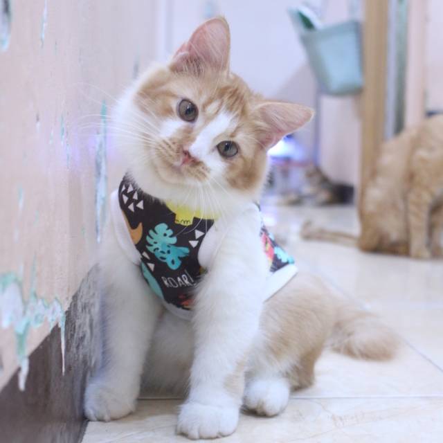 Baju rumahan untuk kucing motif dino coklat / baju kucing murah size S M L XL