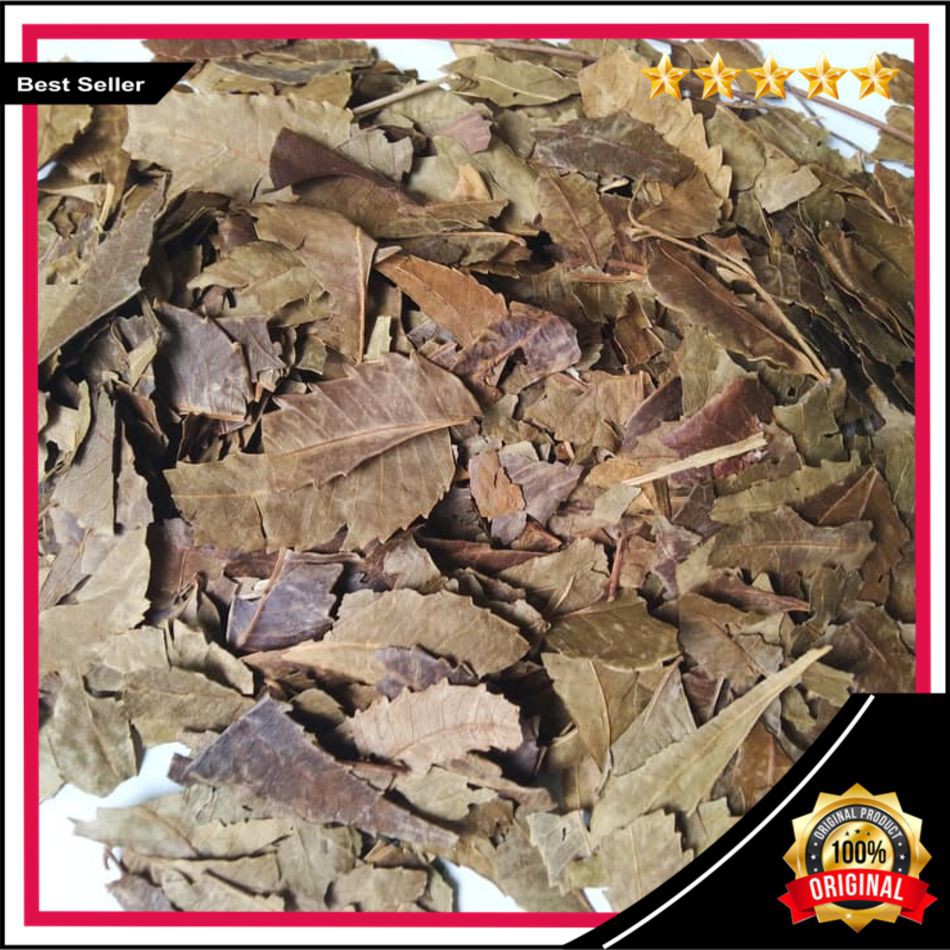 

COD Daun Mimba Kering 1kg / Daun Imba / Daun Imbo