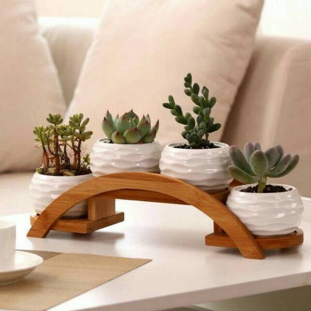 Promo Rak bunga sukulen dua susun model lengkung empat lubang dari kayu jati