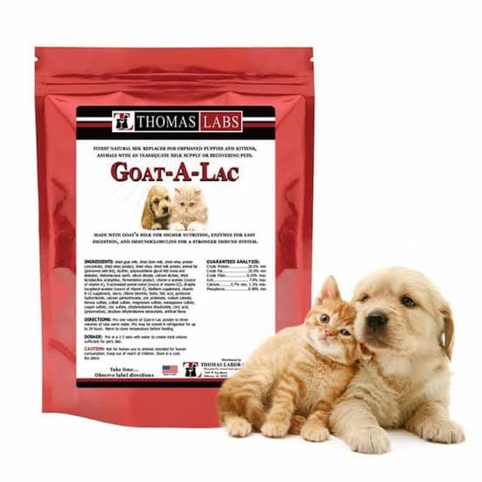 

THOMASLABS Susu Kambing Goat A Lac 100gr
