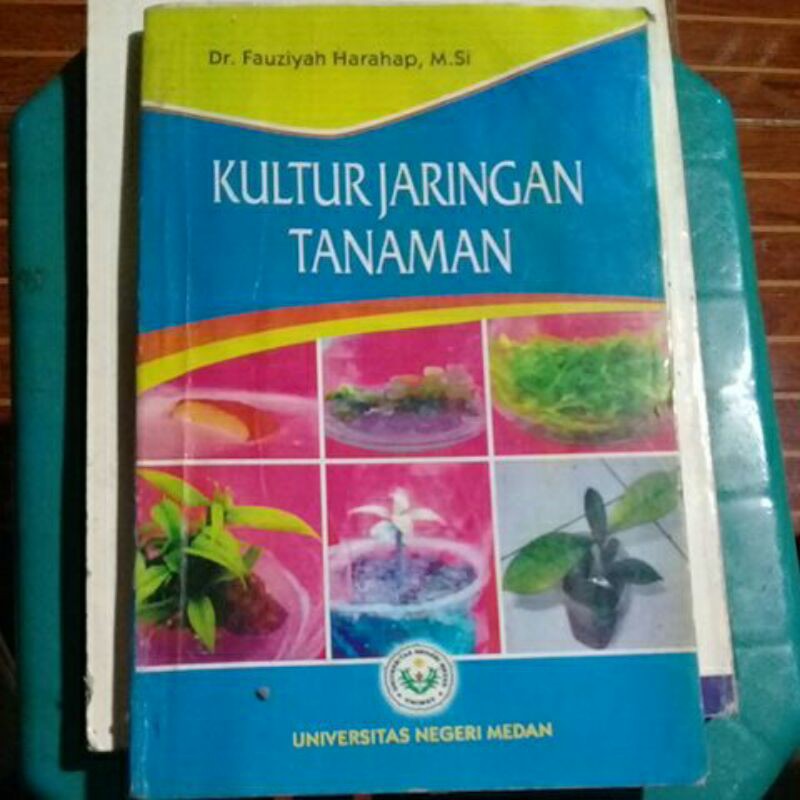 Pertanian : KULTUR JARINGAN TANAMAN.