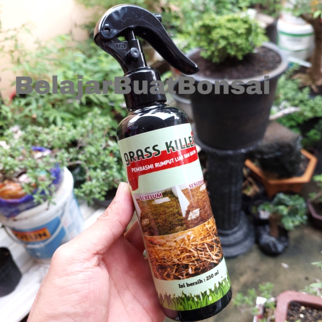 Herbisida Pembasmi Rumput Liar Gulma GRASS KILLER Siap Pakai 250ml