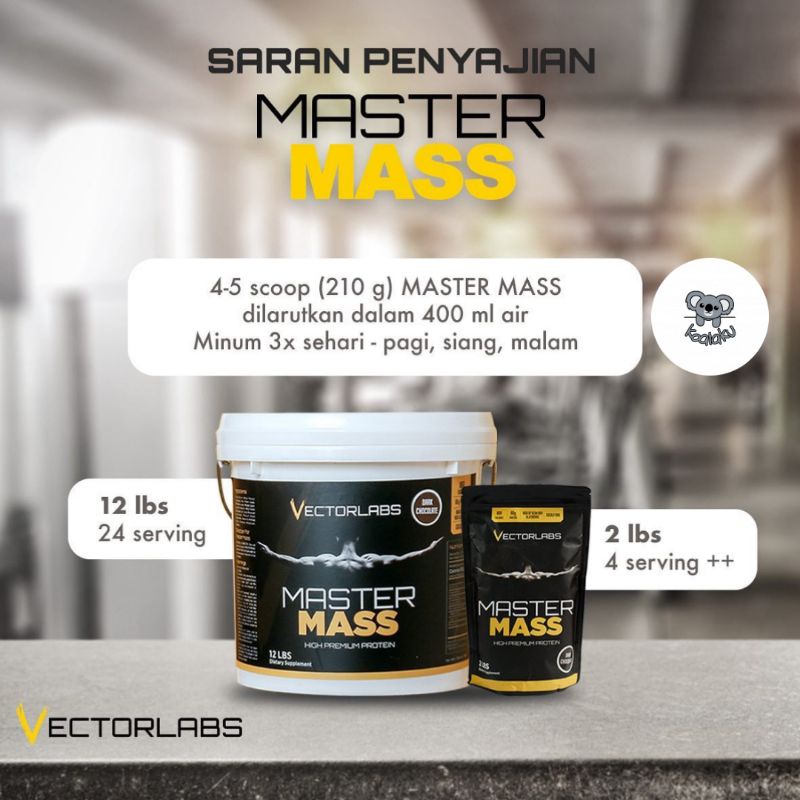 Vectorlabs Master Mass Gainer 2 lbs 900gr Susu Protein Gym Bulking Penggemuk Penambah Berat Badan Suplemen Gym Fitness