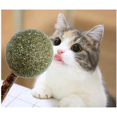 Catnip Stick / Lollipop / Snack Kucing Mainan Catnip Bahan Alami