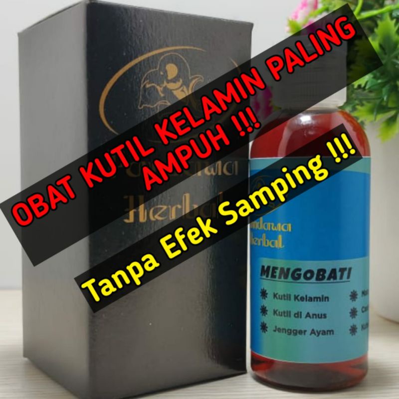 Obat perontok kutil kelamin paling ampuh