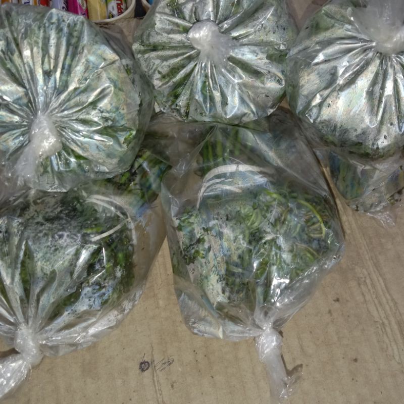 

PAKIS / KI CHOI / KI CHOY / SAYUR MIDING