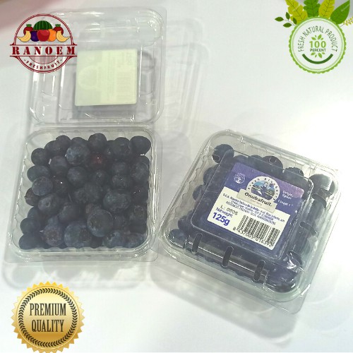 Buah Blueberry Import Segar Murah / Pack