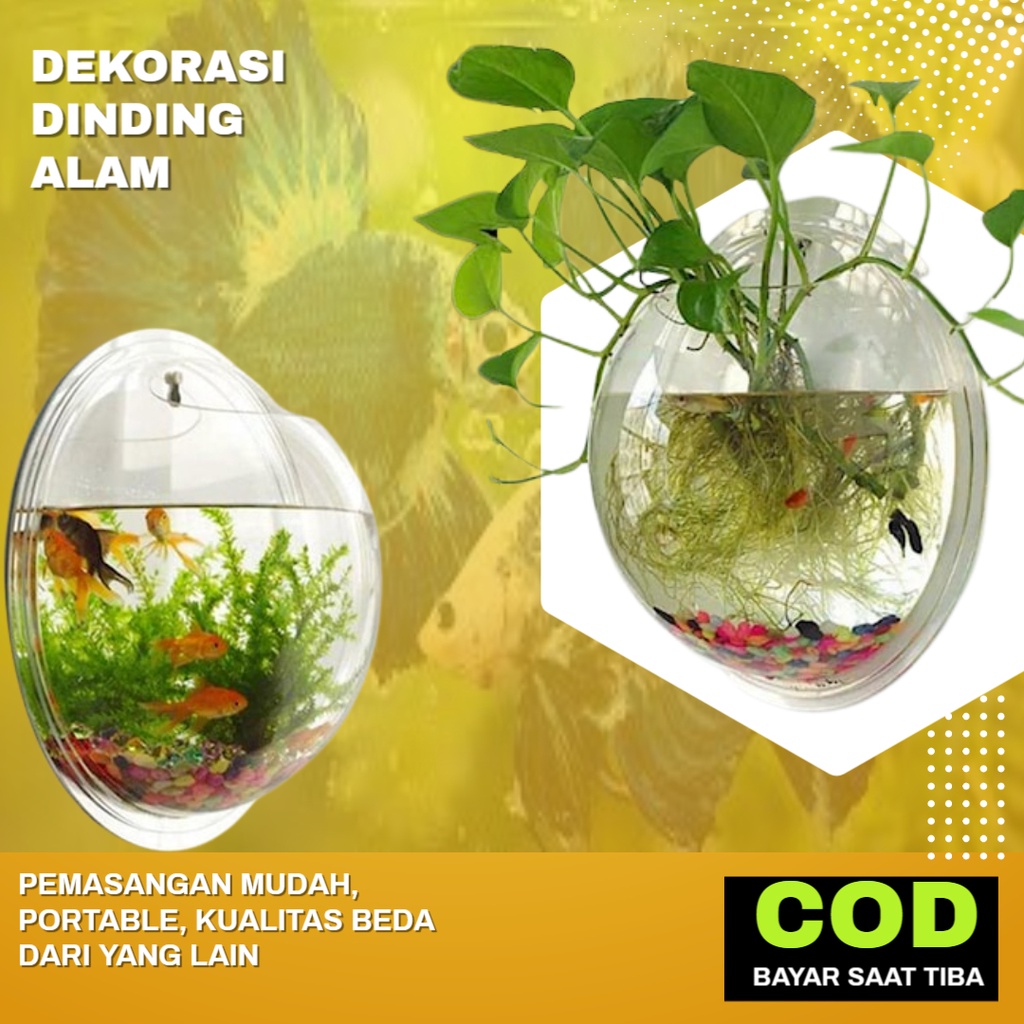 Aquarium akuarium mini cupang kaca akrilik ikan cupang bulat kura kura tempel dinding murah minimalis ikan cupang hias grupy cantik