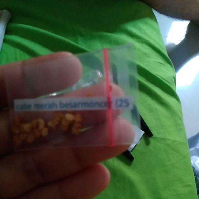 Biji/benih/bibit Tanaman Cabe Merah Besar Moncer (25 Biji)