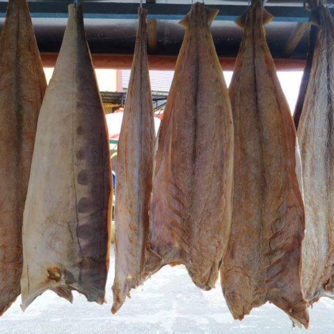 

Ikan Jambal Pontianak 1 Ekor / Yen Pou / Jan Phu