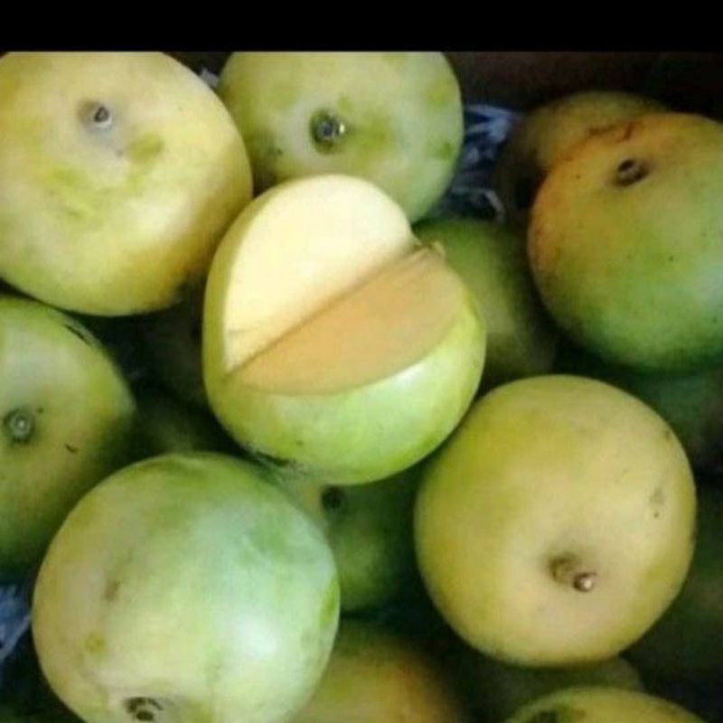 buah fresh mangga apel mengkal 1kg