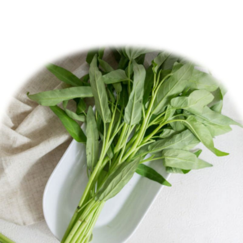 

kangkung