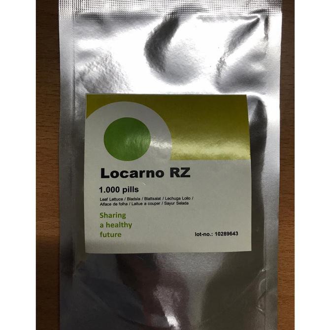 Benih Locarno Rz Green Lollo Lettuce Locarno Rijk Zwaan - 1000 Pills