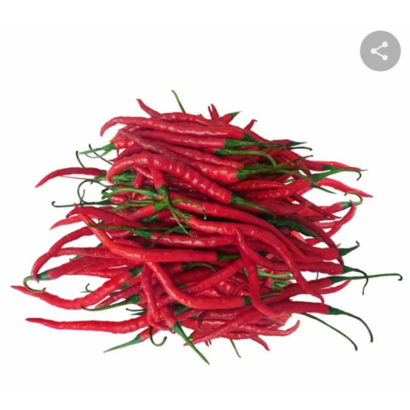 

zv cabe merah keriting tkx