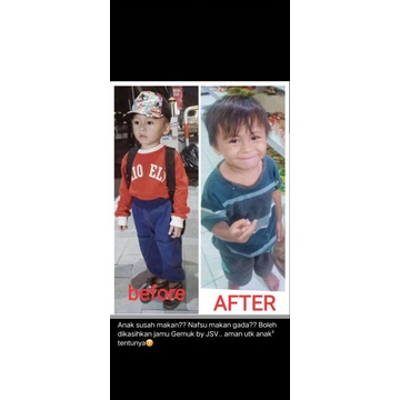 

JSV PENGGEMUK BADAN