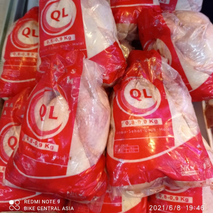 

AYAM BOILER FROZEN PER EKOR BERAT 0,8-0,9Kg