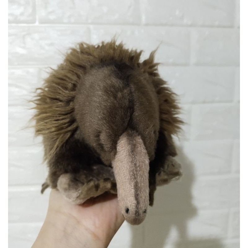 Boneka Hewan Echidna (binatang pemakan semut)