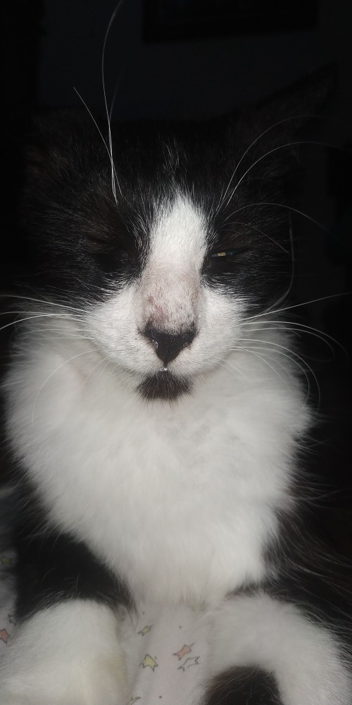 Atasan Batik Wanita Tunik Batik Tenun Batik Jumbo Dolby Dolby Doby Doby