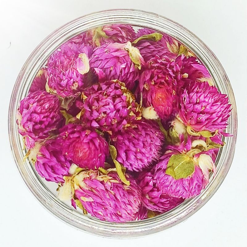 GLOBE AMARANTH FLOWER TEA TISANE BUNGA KENOP TEH BUNGA PREMIUM HERBAL DETOX FLU BATUK