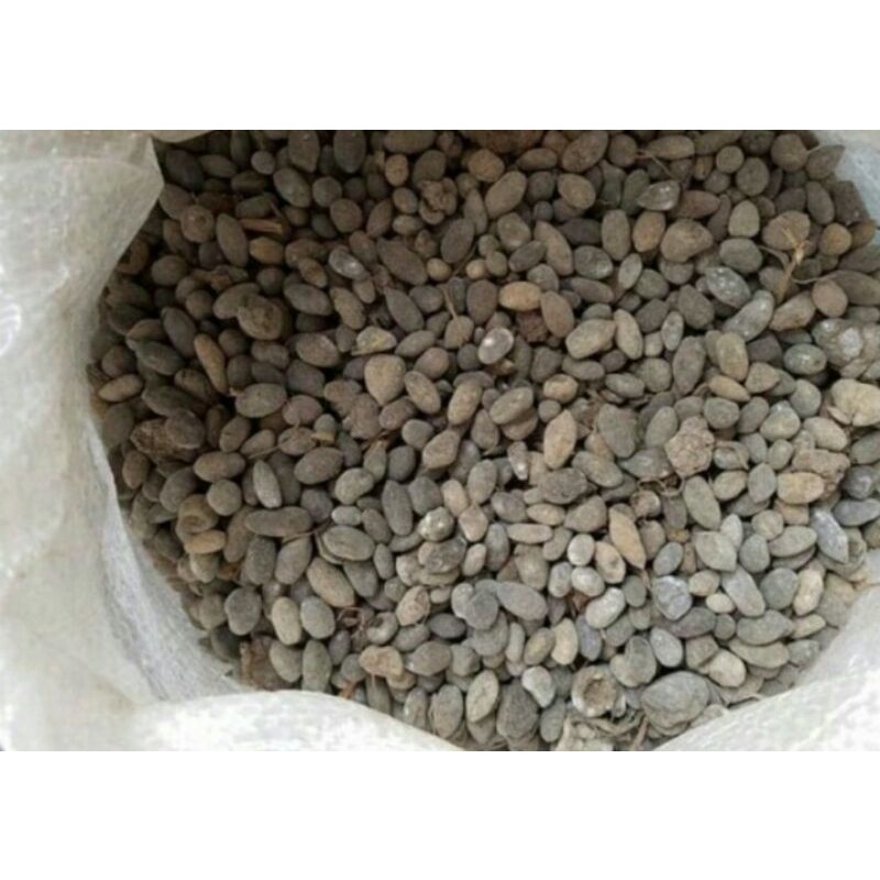 kotoran kambing/kohe kambing