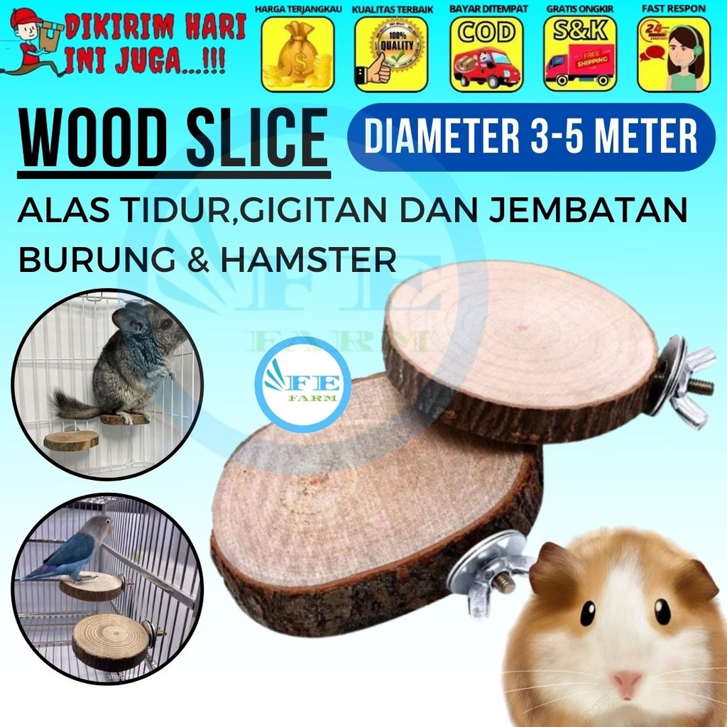 Wood Slice Potongan Kayu Tangkringan Alas Kandang Dekorasi Rustic Hamster Burung FEFARM