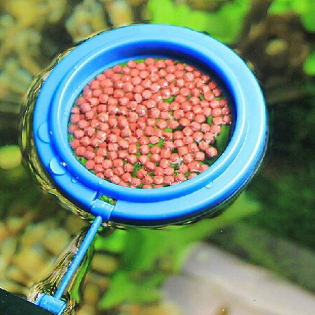 Ring Pemberi Makan Ikan Floating Feeding Ring Top Aqua ROUND 7.5 cm