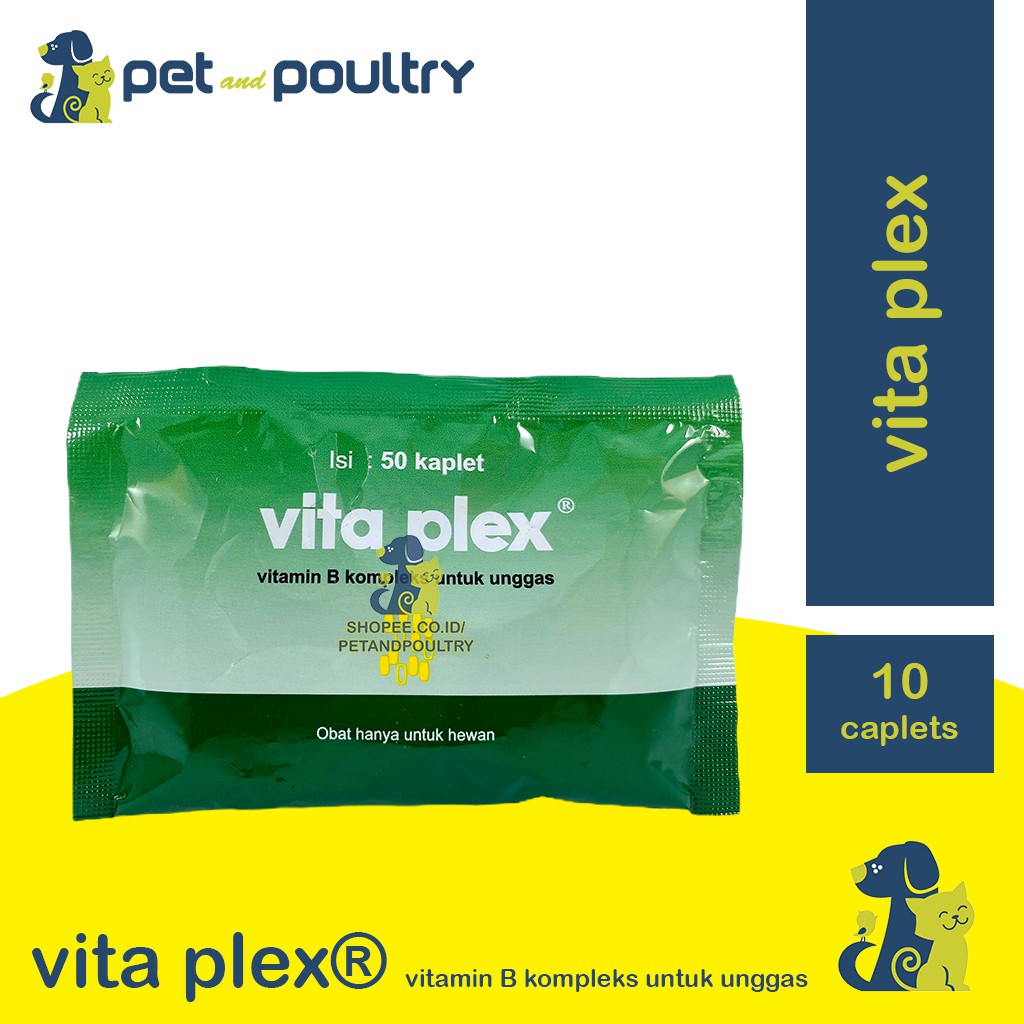 VITA PLEX 50 KAPLET - VITAMIN B KOMPLEKS UNTUK UNGGAS - VITAMIN AYAM