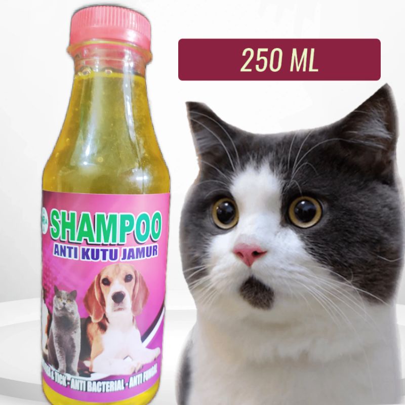 sampo kucing anjing 250mL anti kutu dan jamur