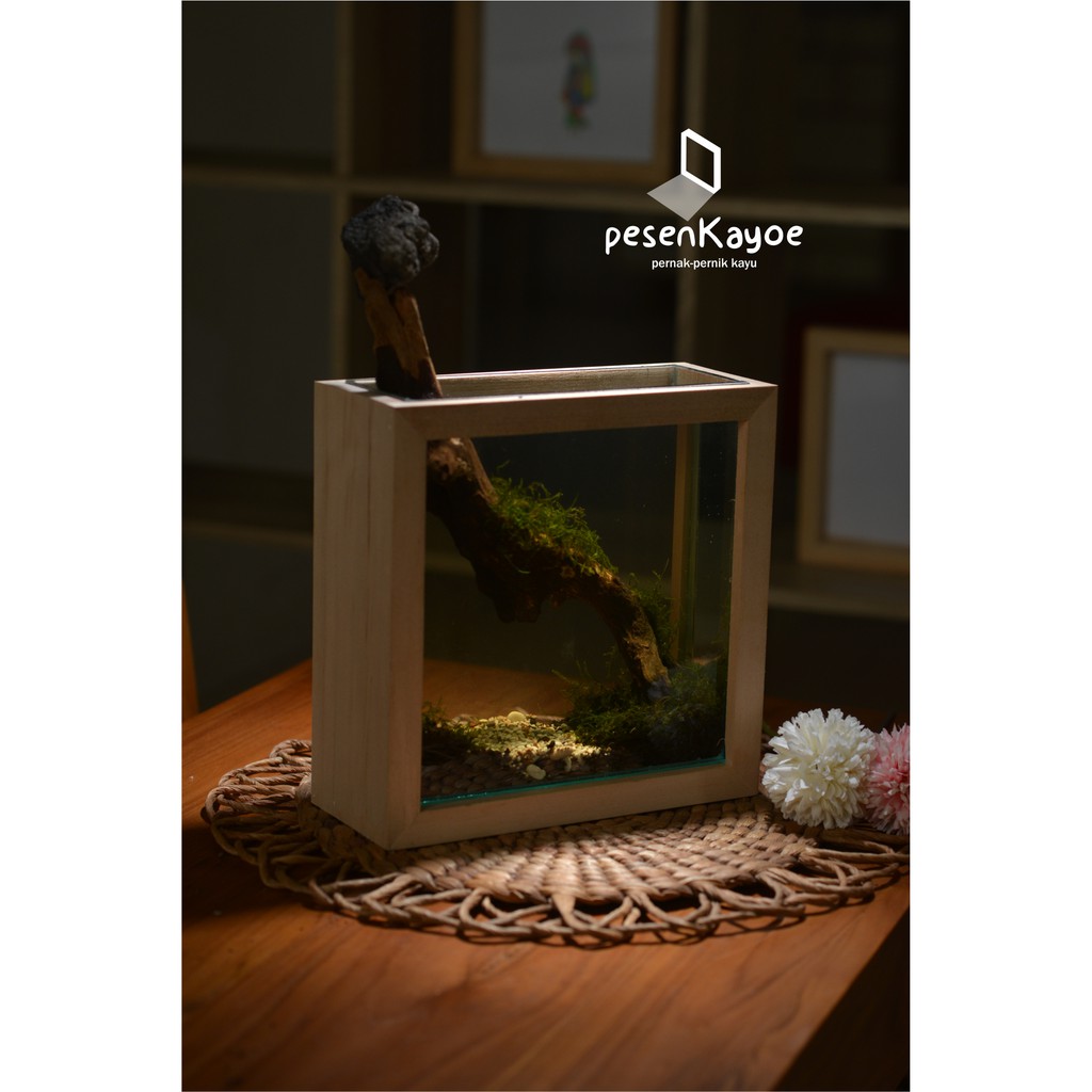 Aquarium Cupang Paludarium Unik Kayu Shopee Indonesia Aquarium kayu shopee