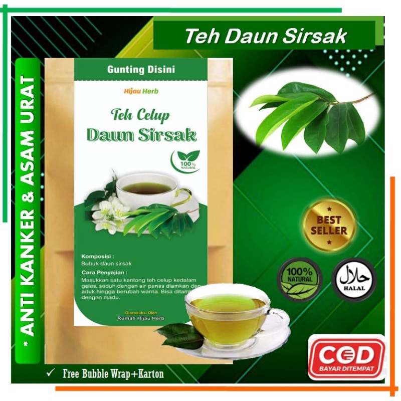 

Teh Daun Sirsak anti asam urat alami