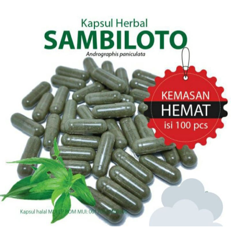 

kapsul sambiloto