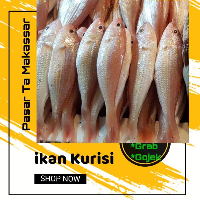 

ikan Merah / ikan Kurisi perpaket/ Pasar Ta Makassar / Pasar sayur ikan Makassar