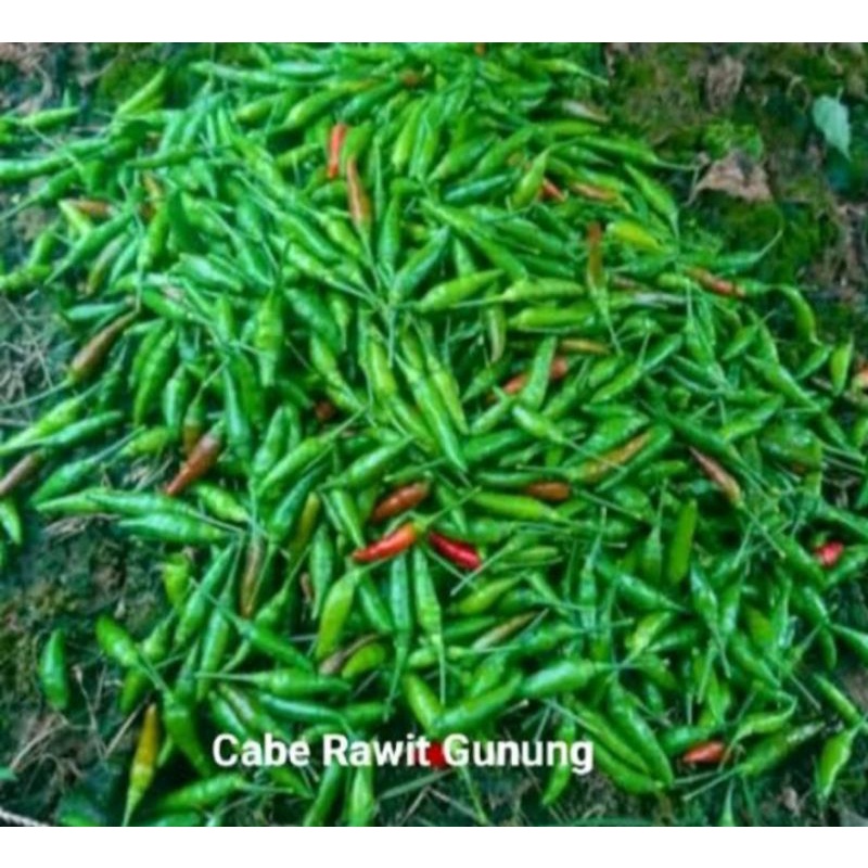 

cabai rawit gunung per 500 grm
