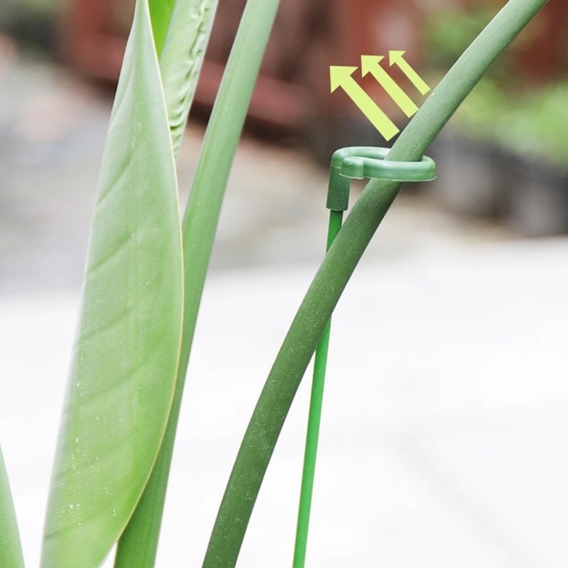 10pcs / Pak Stand Holder Tanaman Hijau Bebas Paku Hemat Ruang Ramah Lingkungan Untuk Aksesoris Taman