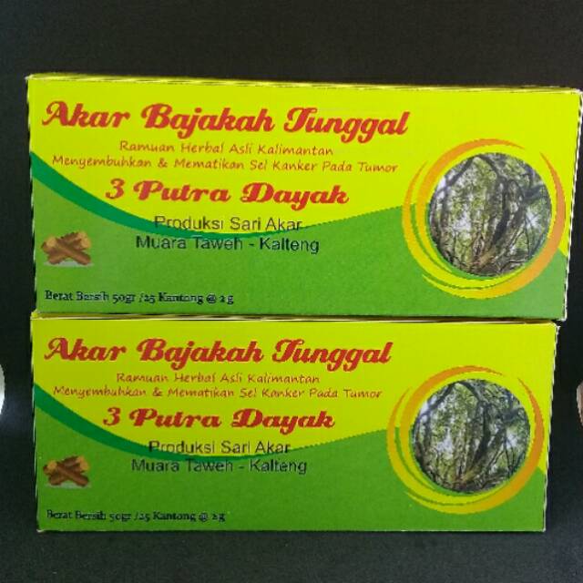 

Akar bajakah tunggal