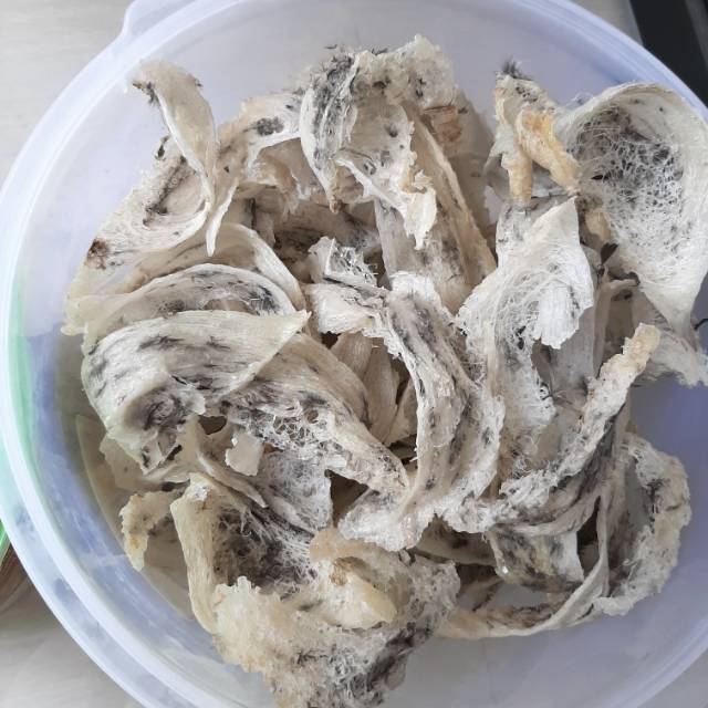 Sarang Walet Kotor (10 gram)