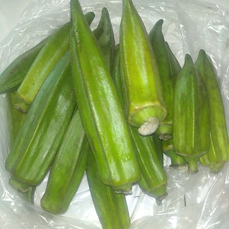 

Sayur Okra Hijau segar