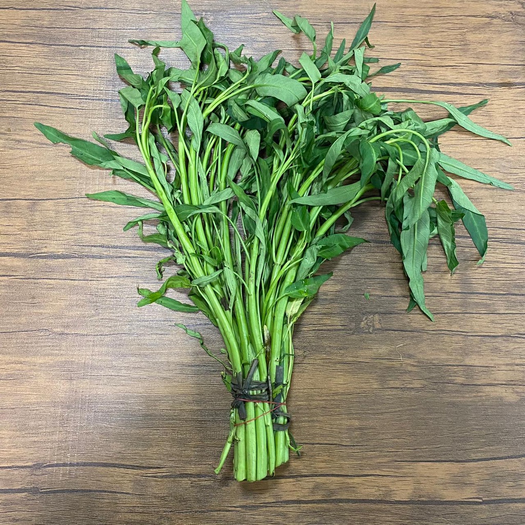 

KANGKUNG