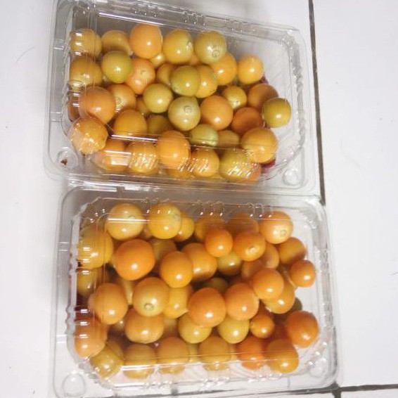 

buah ciplukan kupas fresh organik 500gr