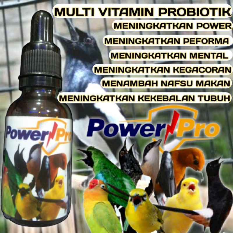 Multivitamin burung kicau Perawatan burung  Vitamin kacer gacor Vitamin kacer konslet Penggacor buru