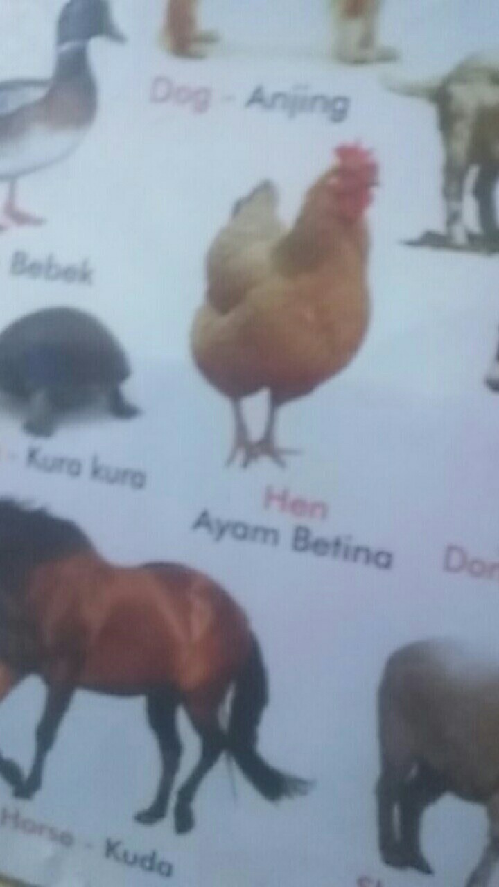 Couple Gamis Kombinasi Gamis Mewah Kualitas Oke Gamis Couple Batiktradisional Batik Sayfuul Fhasion