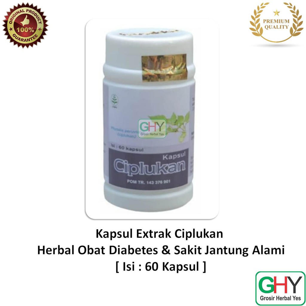 Kapsul Extrak Ciplukan - Herbal Obat Diabetes & Sakit Jantung Alami