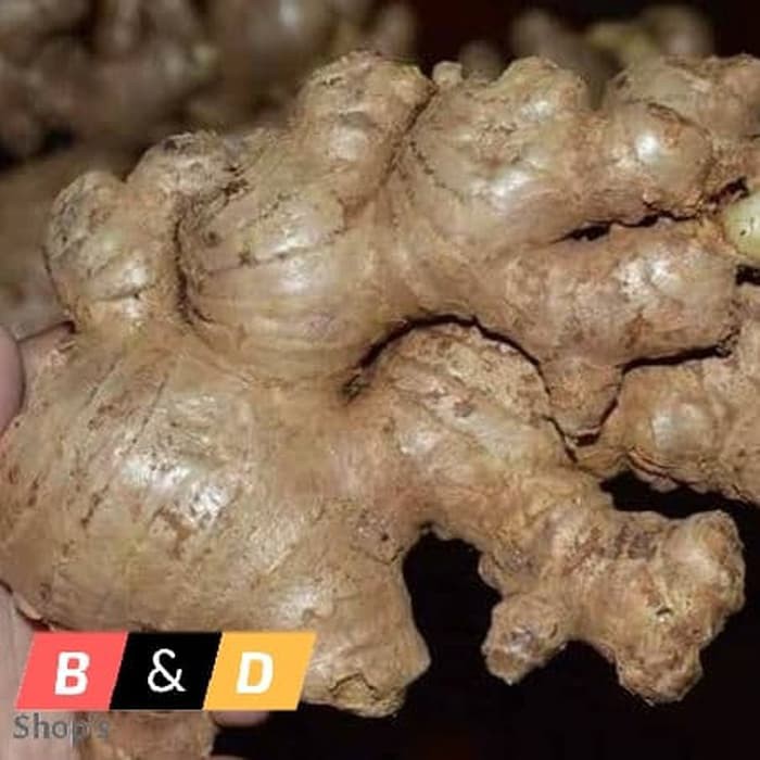 

Jahe Gajah Segar Rempah-Rempah Dan Minuman Netto 500 Gram.